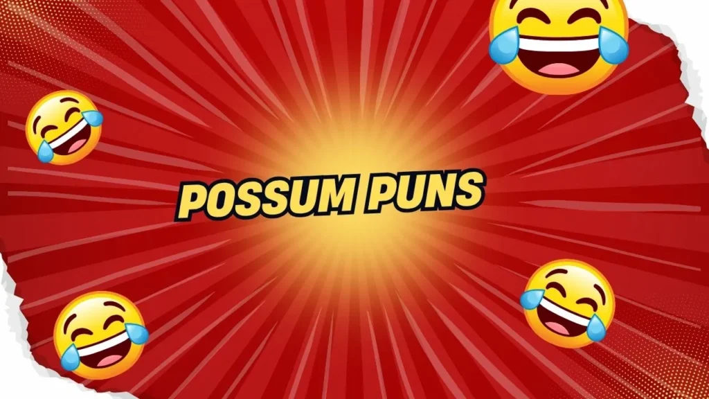 Possum Puns for Instagram Captions
